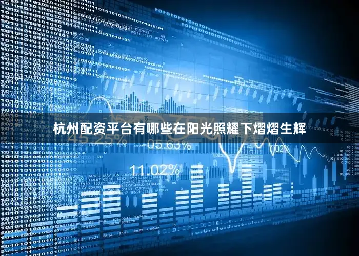 杭州配资平台有哪些在阳光照耀下熠熠生辉