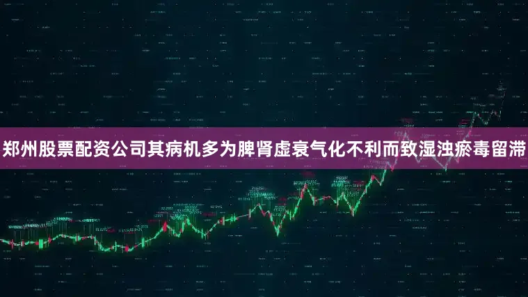 郑州股票配资公司其病机多为脾肾虚衰气化不利而致湿浊瘀毒留滞