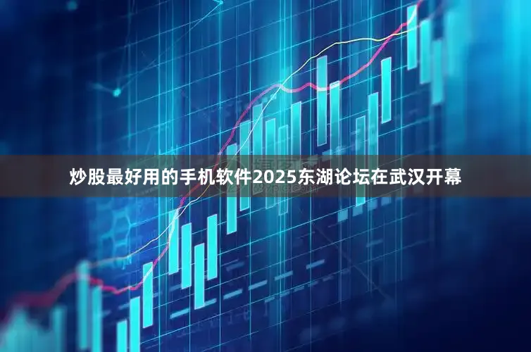炒股最好用的手机软件2025东湖论坛在武汉开幕